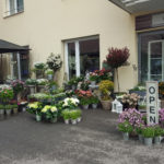 casaverde_angebot_Garten_bild2