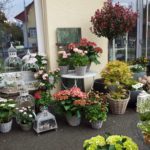 casaverde_angebot_Garten_bild3